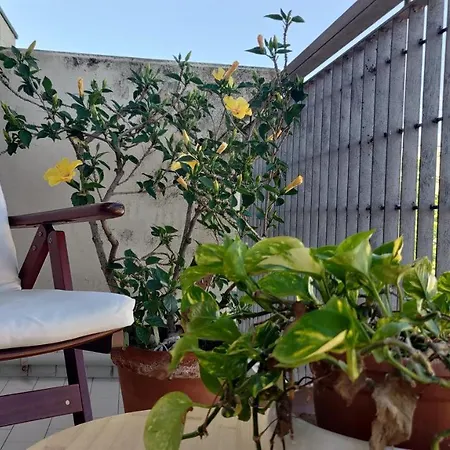 Comodo Per Venezia - Schissa Appartement Jesolo